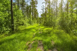 0 Weaver Jones Rd, Rutledge, GA 30663 - Photo 1