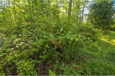 0 Weaver Jones Road, Rutledge, GA 30663 - Photo 17