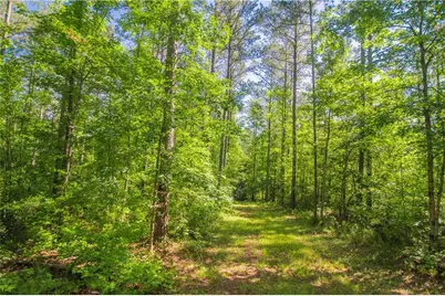 0 Weaver Jones Road, Rutledge, GA 30663 - Photo 11