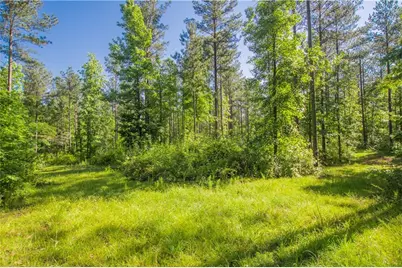 0 Weaver Jones Road, Rutledge, GA 30663 - Photo 3