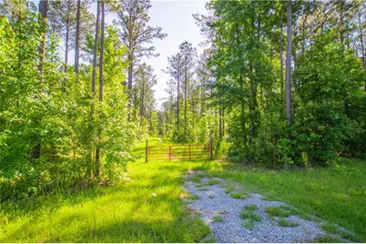 0 Weaver Jones Road, Rutledge, GA 30663 - Photo 5