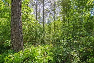 0 Weaver Jones Road, Rutledge, GA 30663 - Photo 19