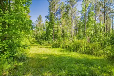 0 Weaver Jones Road, Rutledge, GA 30663 - Photo 21