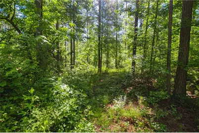 0 Weaver Jones Road, Rutledge, GA 30663 - Photo 15