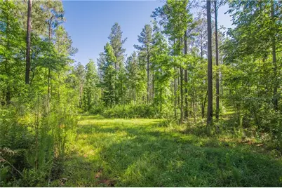 0 Weaver Jones Road, Rutledge, GA 30663 - Photo 9