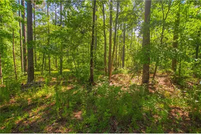 0 Weaver Jones Road, Rutledge, GA 30663 - Photo 27