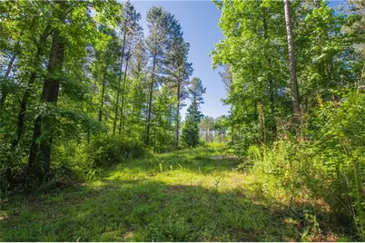 0 Weaver Jones Road, Rutledge, GA 30663 - Photo 7