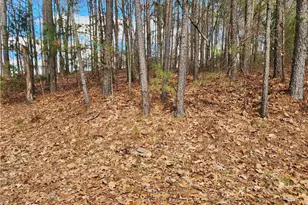 91 Cannon Ridge View, Dallas, GA 30132 - Photo 1