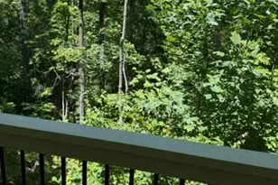 155 Bulldog Way, Dahlonega, GA 30533 - Photo 21