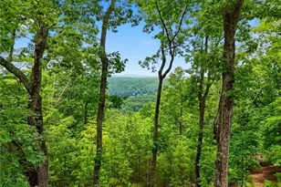 193 Ponderosa Ln, Waleska, GA 30183 - Photo 37