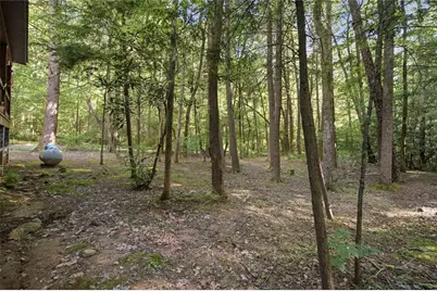 491 Old Parker Terrace, Ellijay, GA 30536 - Photo 37