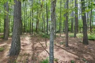 70 Moonlit Trail, Dallas, GA 30132 - Photo 33