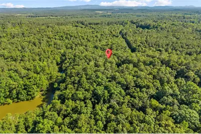 0 Blacks Bluff Rd SW, Cave Spring, GA 30124 - Photo 21