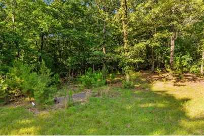 0 Blacks Bluff Rd SW, Cave Spring, GA 30124 - Photo 23