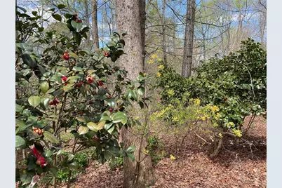 2824 Asteria Pte, Duluth, GA 30097 - Photo 43