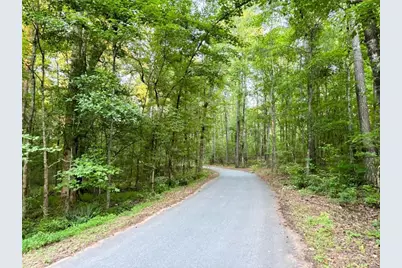 195 Southridge, Senoia, GA 30276 - Photo 41