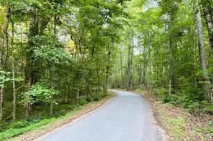 195 Southridge, Senoia, GA 30276 - Photo 41