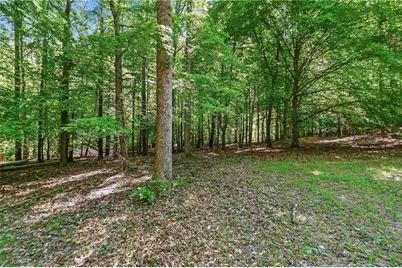 393 Fairplay Street, Rutledge, GA 30663 - Photo 47