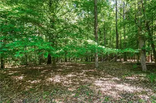 393 Fairplay St, Rutledge, GA 30663 - Photo 45