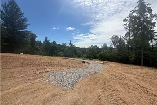 02 Blue Mountain Rd, Morganton, GA 30560 - Photo 5