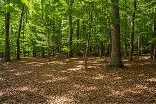 365 River Ridge Trail, Oxford, GA 30054 - Photo 33