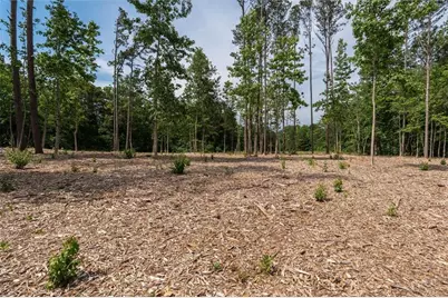 Lot 3 Pope Rd, Buchanan, GA 30113 - Photo 19