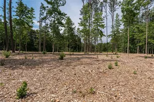 Lot 3 Pope Rd, Buchanan, GA 30113 - Photo 19