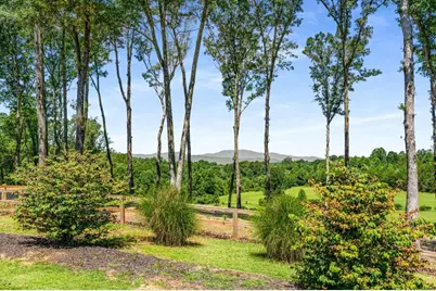 254 Nicholson Road, Blue Ridge, GA 30513 - Photo 65
