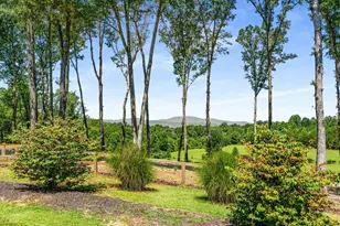 254 Nicholson Rd, Blue Ridge, GA 30513 - Photo 65