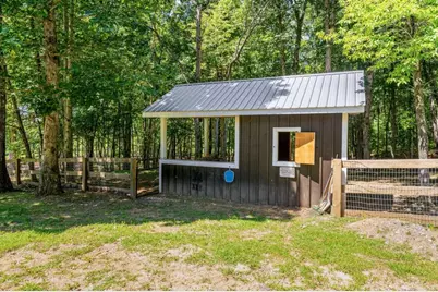 254 Nicholson Road, Blue Ridge, GA 30513 - Photo 79