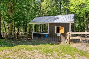 254 Nicholson Rd, Blue Ridge, GA 30513 - Photo 79