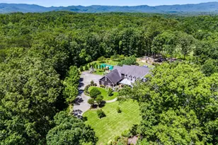 254 Nicholson Rd, Blue Ridge, GA 30513 - Photo 85