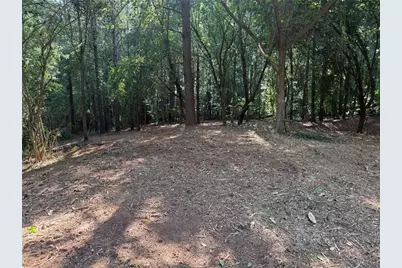 299 Plaza Drive, Monroe, GA 30655 - Photo 3