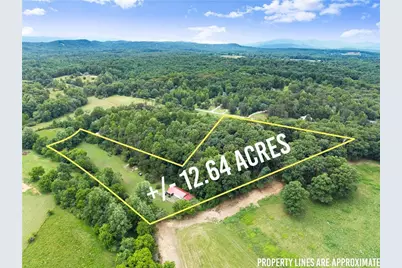 2290 Alec Mountain Rd, Clarkesville, GA 30523 - Photo 3