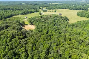 1366 Wheeler Cemetery Rd, Maysville, GA 30558 - Photo 45