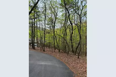 226 Crested Fern Lane, Big Canoe, GA 30143 - Photo 1