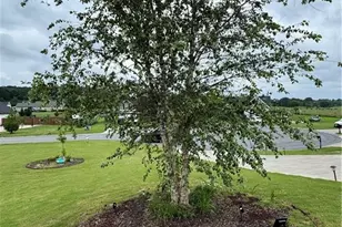 127 Alex Ct, Calhoun, GA 30701 - Photo 33