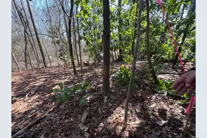 4175 Campbell Road, Snellville, GA 30039 - Photo 27