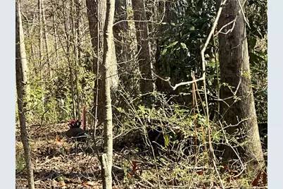 4175 Campbell Road, Snellville, GA 30039 - Photo 23