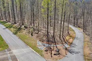 253 N Laceola Rd, Cleveland, GA 30528 - Photo 1