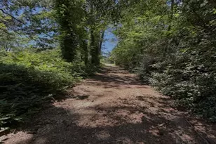 796 Shoemaker Rd, West Point, GA 31833 - Photo 7