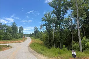 03 Blue Mountain Rd, Morganton, GA 30560 - Photo 27