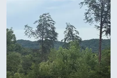 3 Blue Mountain Road, Morganton, GA 30560 - Photo 3