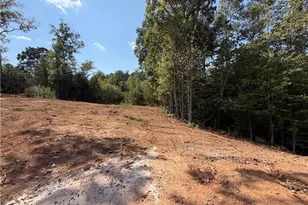 3 Blue Mountain Rd, Morganton, GA 30560 - Photo 13