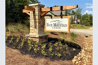 3 Blue Mountain Road, Morganton, GA 30560 - Photo 3