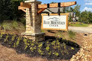 3 Blue Mountain Rd, Morganton, GA 30560 - Photo 3