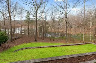 161 Winterhawk Cove, Dawsonville, GA 30534 - Photo 59