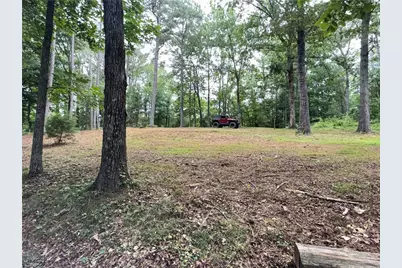 150 Creek Bank Drive, Talking Rock, GA 30175 - Photo 43