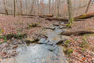 30 Chancel Cir, Ellijay, GA 30540 - Photo 37