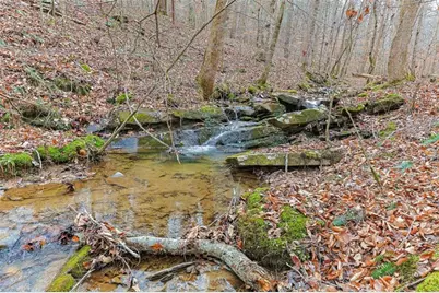 30 Chancel Circle, Ellijay, GA 30540 - Photo 31